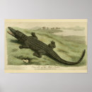 Buscar reptiles arte Cocodrilo