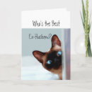 Buscar gatito divertido tarjetas Para él