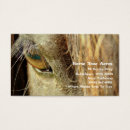 Buscar acres animales Caballo