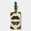 Buscar insecto accesorios Mariposa