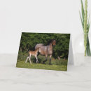 Buscar welsh tarjetas Animales