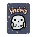 Buscar criatura mágica imanes Bruja