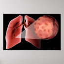 Buscar órganos humanos posters Cuerpo