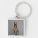 Buscar weimaraner llaveros Vertical