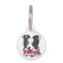 Buscar collies Perros