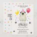 Buscar perro invitaciones Perros