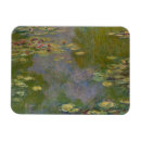 Buscar monet imanes Río