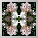 Buscar cierre para arriba fotografía Floral