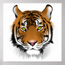 Buscar tigres posters Gato
