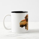 Buscar teckel tazas Dachshunds