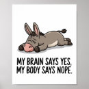 Buscar del burro posters General y unisex
