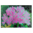 Buscar fucsia tablas cortar Magenta