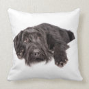 Buscar kissen cojines Hunde