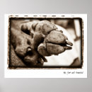 Buscar del weimaraner posters Raza de perro