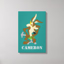 Buscar correcaminos arte Wile e coyote
