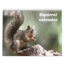 Buscar ardillas lindas calendarios Animal