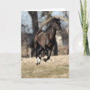 Buscar raza del caballo tarjetas Animal