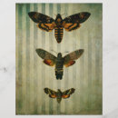 Buscar herradura manualidades Insectos