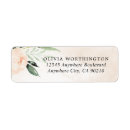 Buscar sistema remite etiquetas Para todos