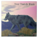 Buscar lobo azulejos Bosque