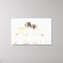 Buscar colocación arte Curiosidad