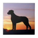Buscar rhodesian del ridgeback Silueta