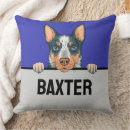 Buscar heeler Adorable