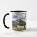 Buscar rf tazas Flora