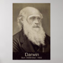 Buscar evolución del hombre posters Darwin