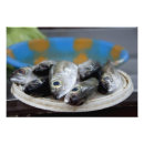 Buscar crudo posters Fresco