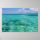 Buscar belice posters Caribe