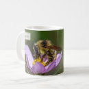 Buscar insectos tazas Salvar a las abejas