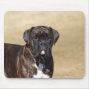 Buscar brindle alfombrillas de raton Sacudida y pam langrish