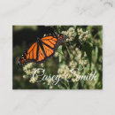 Buscar mariposa monarca tarjetas de visita Fotografía