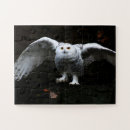 Buscar búho grande puzzles Raptor