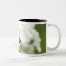 Buscar macro tazas Insecto