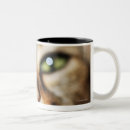 Buscar cabeza del gato tazas Dentro