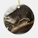 Buscar sea otter adornos Vida silvestre