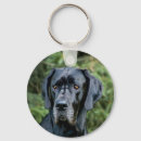 Buscar great dane llaveros Animal