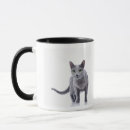 Buscar gato azul ruso tazas Lindo