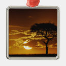Buscar tor adornos Árbol