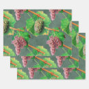 Buscar vid uva de papel de regalo Viñedo