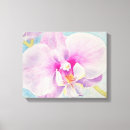 Buscar orquídeas lienzos Rosa
