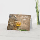 Buscar las islas galápagos tarjetas Humor