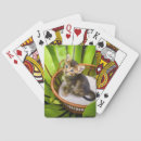 Buscar animales domésticos barajas de cartas Gato