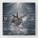 Buscar ganso relojes de pared Vida silvestre