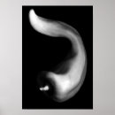 Buscar curvado fotografía Elegante