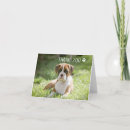 Buscar perro boxer tarjetas Para mascotas