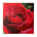 Buscar flores hermosas azulejos Foto