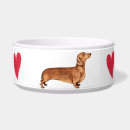 Buscar doxie mascotas Dachsie